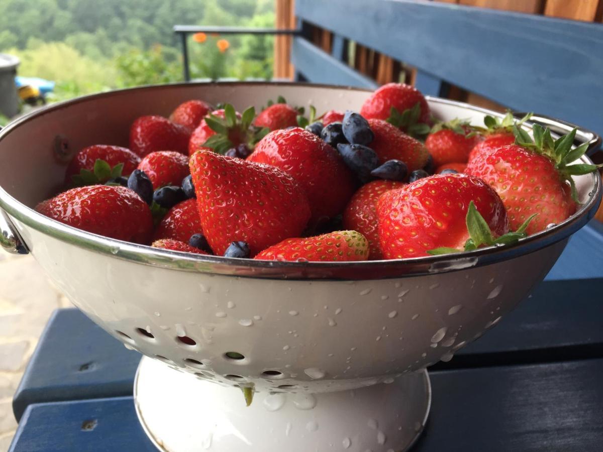 Bed and Breakfast Rose Hip Hill Farm Valea Tirnei Exteriér fotografie