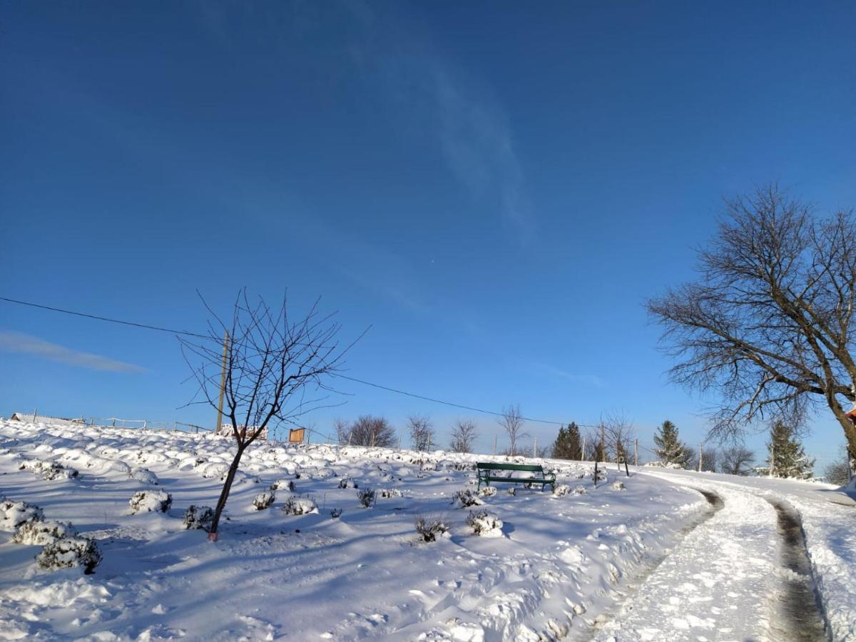 Bed and Breakfast Rose Hip Hill Farm Valea Tirnei Exteriér fotografie