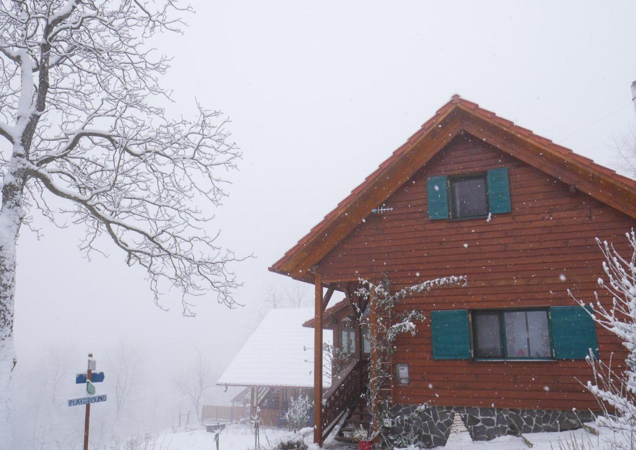 Bed and Breakfast Rose Hip Hill Farm Valea Tirnei Exteriér fotografie