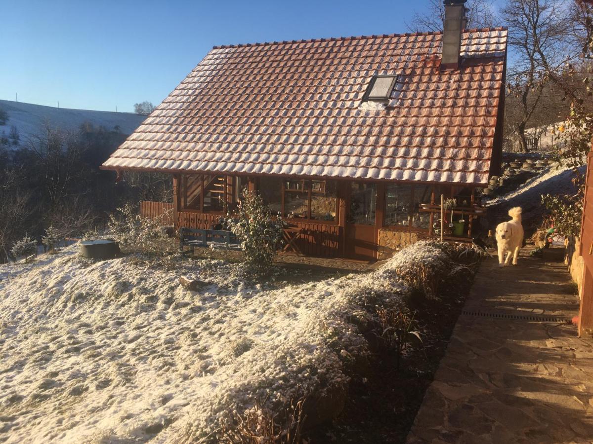Bed and Breakfast Rose Hip Hill Farm Valea Tirnei Exteriér fotografie